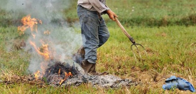Dichiarazione stato di massima pericolosità per gli incendi boschivi.
